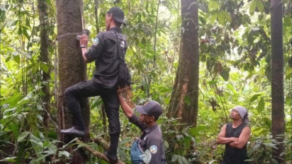 Terancam Punah, VESSWIC Lakukan Survei Monitoring dan Rancang Stasiun Konservasi Gajah Sumatera