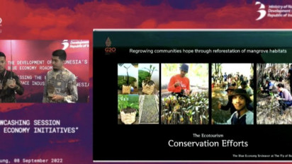 Wisata Penanaman Mangrove Digital Menjadi Salah Satu Strategi Ekonomi Biru