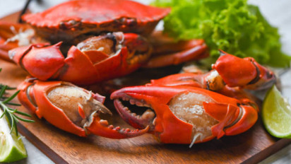 Bahaya Mengonsumsi Kepiting Karena Dapat Menaikkan Kolesterol, Ini Faktanya!