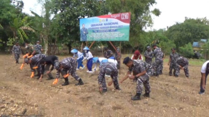 Peringati HUT ke-77, TNI AL Jaga Ketahanan Pangan dengan Gerakan Nasional Penanaman Sorgum di Bangkalan, Madura
