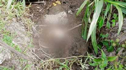 Temuan Tengkorak Manusia Hebohkan Warga Binjai