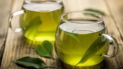 Khasiat Istimewa Daun Sirsak bisa Bantu Turunkan Kolesterol hingga Bunuh Sel Kanker, Begini Cara Buat Ramuannya