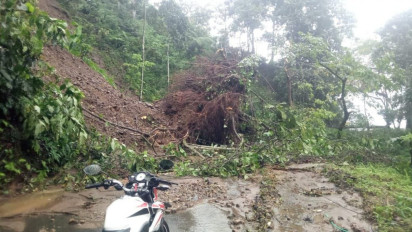 Tanah Longsor dan Pohon Tumbang Tutup Jalur Lintas Selatan Lumajang-Malang