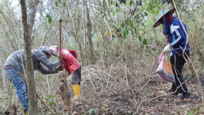 Sejumlah Petani Porang di Panceng Gresik Resah, Sewa Lahan 3 Tahun Tidak Bisa Dikelola