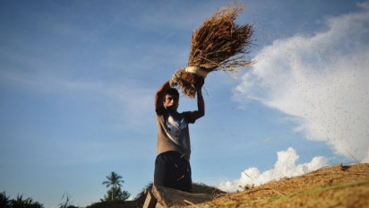 Bulog Pastikan Cadangan Beras Pemerintah Sebanyak 11.800 Ton di Provinsi Sulawesi Tengah Aman Hingga 2023