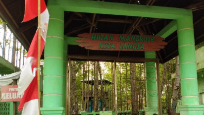 Baru Diresmikan Sandiaga Uno, Wisata Tower Hutan Mangrove Kuala Langsa Kini Ditutup