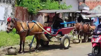 Tarif Naik Imbas Pakan Mahal, Transportasi Dokar di Kendal Sepi Penumpang