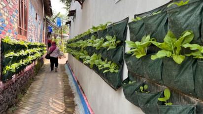 Lahan Terbatas, Begini Cara Warga Kota Yogyakarta Menanam Sayur