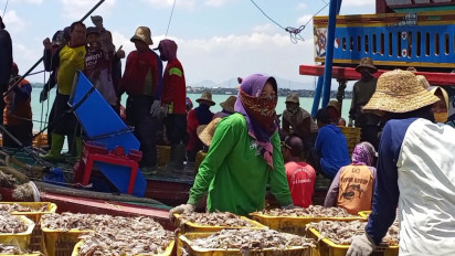 Harga BBM Bersubsidi Naik, Pengaruhi Naiknya Harga Ikan Laut Segar di Rembang