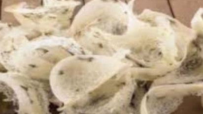 Siap-siap, Sumut Akan Tambah Ekspor 24 Ton Sarang Burung Walet