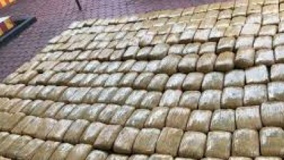 Ratusan Kilo Ganja Siap Edar Berhasil DIgagalkan, Polisi Tangkap Empat Tersangka Modus pengiriman Gabung Sayur