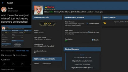 Inilah Alasan Muhammad Agung Hidayatullah Tidak Ditahan Meski Sudah Ditetapkan Jadi Tersangka dalam Memuluskan Aksi Hacker Bjorka