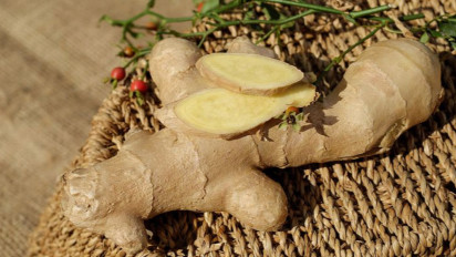 Benarkah Minum Jahe Bisa Atasi Sakit Maag? dr Zaidul Akbar Ungkap Faktanya: Bisa…