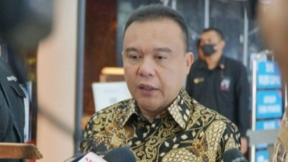 Gerindra Sebut Prabowo Dijegal Nyapres, Dasco: Pelaku Punya Banyak Dana dan Mampu Organisir Orang Banyak