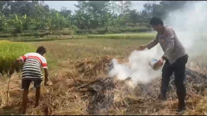 Cegah Kecelakaan, Petugas Polres Semarang Padamkan Api Pembakaran Sisa Panen
