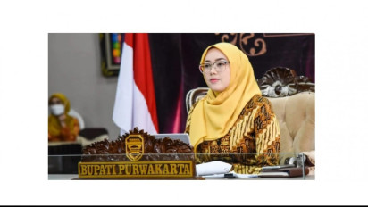 Siapakah Anne Ratna Mustika, Bupati Purwakarta yang Gugat Cerai Dedi Mulyadi