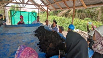 Wow! Limbah Kelapa Sawit Bisa Jadi Pakan Ikan dengan Teknologi Biokonversi