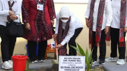 Momen Saat Ibu Negara Tanam Kelapa Genjah, Iriana: Tadi Juga Ketemu Para Lansia