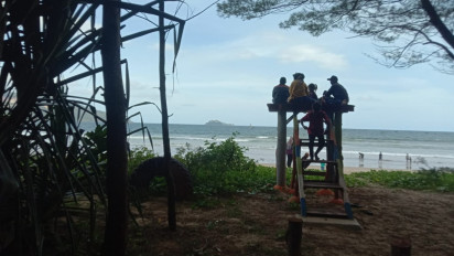 Mengintip Keindahan Pantai Cemara Pancer Banyuwangi