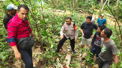 Buruh Tani di Bali Tewas Tertimpa Pohon Kelapa, Korban Meninggal di Tempat Kejadian