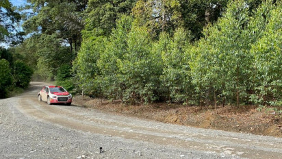 APRC 2022 Mulai Memanas, Ayah dan Anak Adu Kecepatan, Sean Gelael Mengaku Jadi Tim Hore