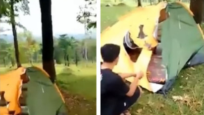 Viral Sepasang Remaja Tersambar Petir saat Sedang Berkemah di Kawasan Bukit Waruwangi Serang