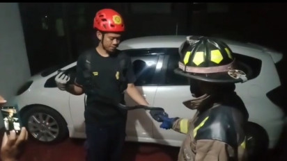 Ular Berbisa Black Boiga Sepanjang 1 Meter Masuk Rumah Warga di Maros