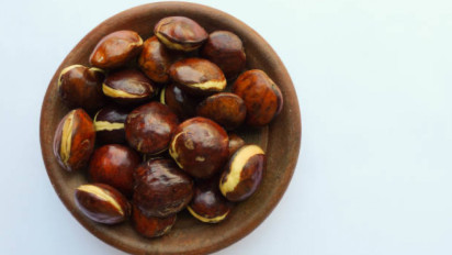 Disukai Banyak Orang, Namun Jengkol Berbahaya Bagi Tubuh, Ini Efek Sampingnya