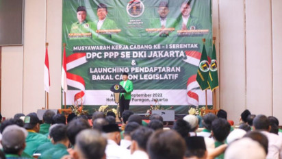 Plt Ketum PPP Targetkan Elektabilitas Partai Meningkat