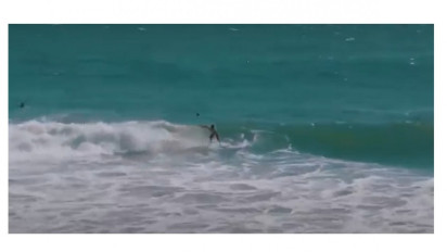 Peselancar Indonesia Raih Perak di ISASURF 2022 yang Digelar di California Amerika Serikat