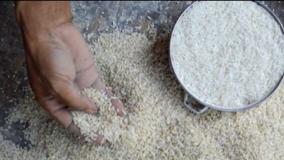 Warga Miskin di Luwu Diberi Bantuan Pemerintah Berupa Beras Busuk, Ini Kata Dinas Sosial