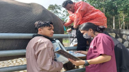 Selamatkan Populasi Gajah, drh. Wahyu: Bila Membuat Kebun Binatang, Peliharalah Gajah