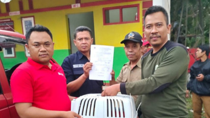 BBKSDA Jabar Amankan Kancil dari Warga di Bojongpicung Cianjur