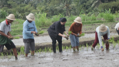 Kunjungi Bali, Puan Maharani Tanam Padi Bersama Petani