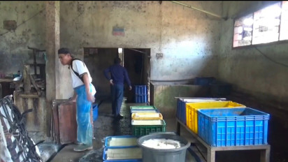 Waduh! Harga Kedelai Naik Drastis, Pengusaha Tahu di Kerinci Mengeluh