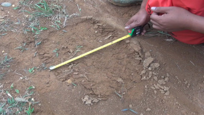 Gajah Liar Kembali Satroni Pemukiman dan Kebun Warga di Subulussalam