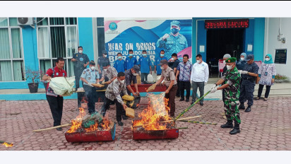 BNNK Madina Musnahkan 108 KG Ganja Siap Edar 