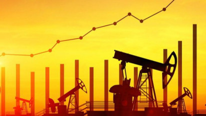 Mentan Amran Sebut Rusia Mau TIngkatkan Nilai Impor CPO dari Indonesia