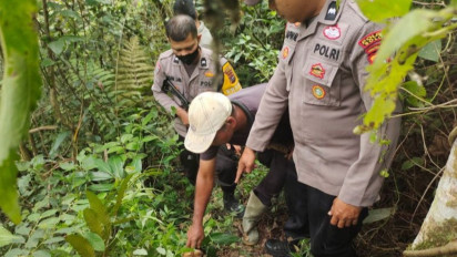 Belasan Kambing Milik Warga di Solok Tewas, Diduga Ini Penyebabnya