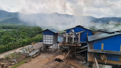 Perusahaan Industri Sawit di Sumut Mulai Beralih Menggunakan Listrik PLN