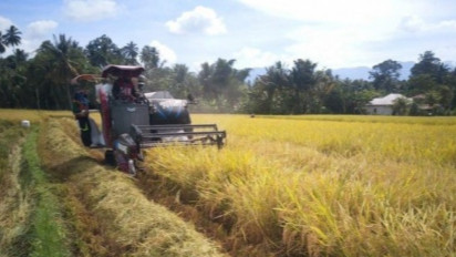 Indonesia Kaya dengan Pangan Lokal Alternatif Hadapi Krisis Pangan