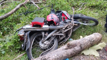 Pemotor Meninggal Dunia Usai Tertimpa Pohon Jati di Ngaliyan Semarang