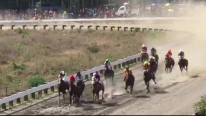 Kejurnas Pacu Kuda Seri Ke II Digelar, Diikuti 96 Kuda dari 12 Provinsi, Rebut Piala Presiden