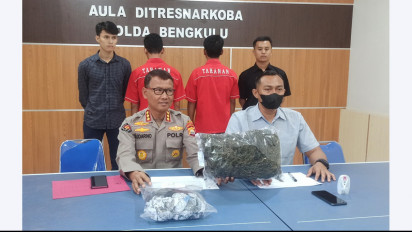 Miliki 1 Kg Ganja, Dua Pedagang Ayam di Bengkulu Diringkus Polisi