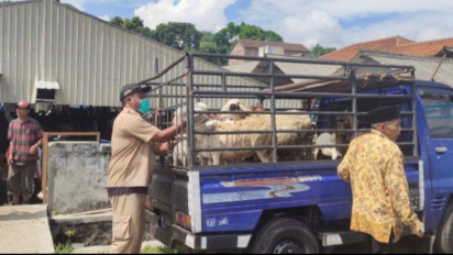 Hore! Sekarang Kasus PMK di Kabupaten Semarang Menurun, Pasar Hewan Boleh Buka asal Penuhi Syarat-Syarat Berikut Ini