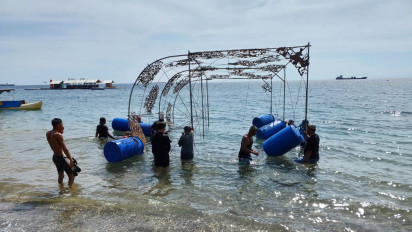 Uniknya Terumbu Karang Berbentuk Terowongan Bunga di Selat Bali