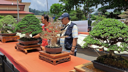 Kontes Mahakarya Bonsai, Tampilkan Ratusan Bonsai Hasil Karya Seni Bernilai Tinggi