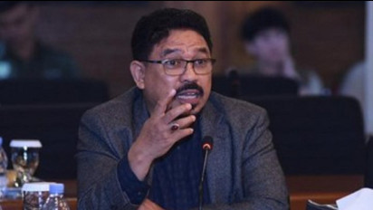 Sebut Anies Baswedan Antitesis Jokowi Jadi Alasan Zulfan Lindan Dinonaktifkan dari NasDem