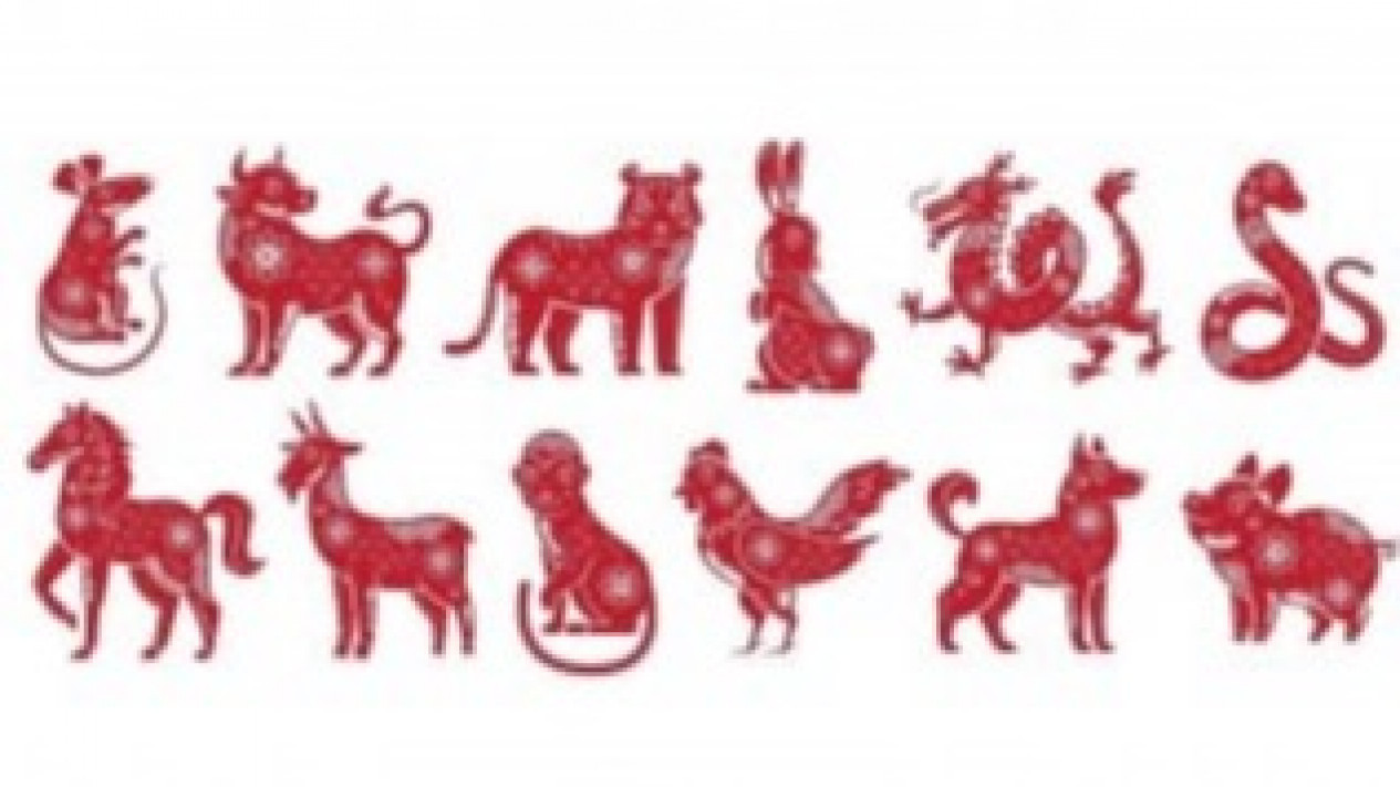 Ramalan Shio Hari Ini Jumat 14 Oktober 2022: Shio Ayam Bersiap Mendapat Kejutan, Kabar Baik atau Buruk? Yuk Cek di Sini
            - galeri foto