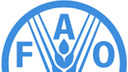 FAO Harap Indonesia Ajak Negara G20 Kolaborasi Atasi Kelaparan